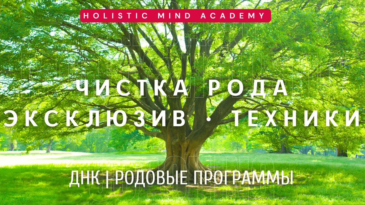 6. Чистка РОДА Mini Class